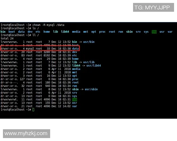 6686体育Android深度优化全方位提升用户体验与性能解析